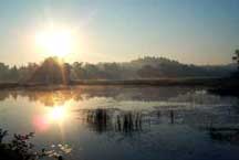 Sunrise on Conroys Marsh