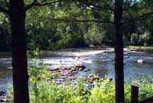 Rapids view from cottage deck