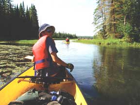 Algonquin Provincial Park wilderness canoe trip. Photo by Doug Archer